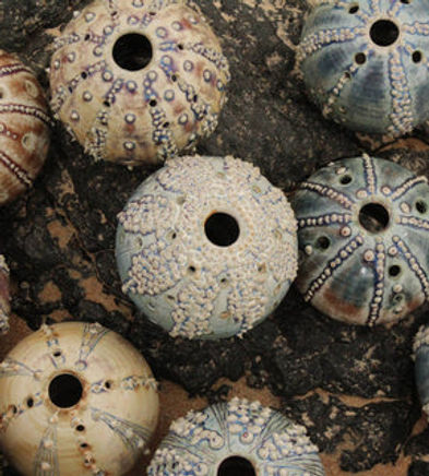 Hotels - Esplanade Hotel Fremantle by Rydges.jpg