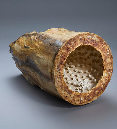 Hotels - Esplanade Hotel Fremantle by Rydges.jpg