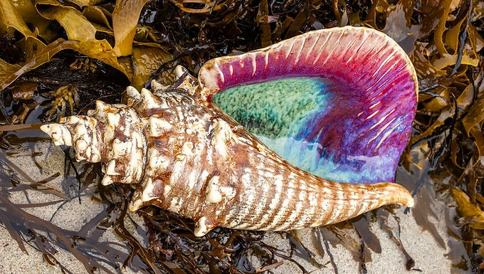 Brendon Norton, EllaRae Stubbs, Caroline Bannister, Stuart McKay 
    Tania Davey, Francois Ringer, Pauline Alferink, Shelley McNab 
    Yu-Hua Lan (Joyce), Jolene Hewison, Jo Broadhurst, Rod Dilkes
    Lauren Rudd, Michael Wise, Bill Meiklejohn, Alexandra Butler
    Shayne Hadley, Matt Almera, Dariya Gratte, Lee-Anne Townrow, Ian Dowling 