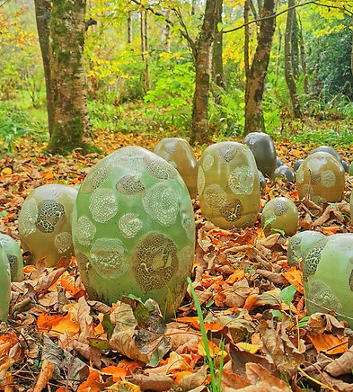 Hotels - Esplanade Hotel Fremantle by Rydges.jpg